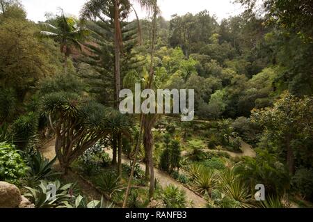 Le Jardin Mexicain, Palais de Monserrate, Sintra, Portugal Banque D'Images