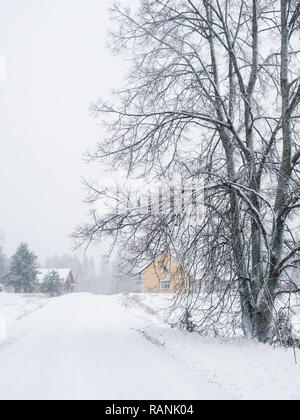 Paysage d'hiver avec neige lourde et chalet de tempête de neige en Finlande Banque D'Images