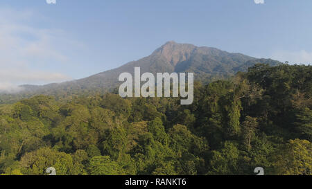 Vue aérienne de la forêt tropicale à la végétation luxuriante et les montagnes, l'île de Java. paysage tropical rainforest, en zone montagneuse de l'Indonésie. vert, la végétation luxuriante. Banque D'Images
