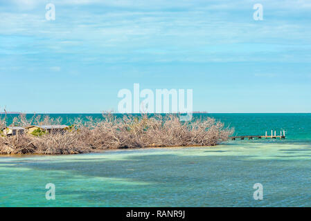 Peu d'argent, une petite île déserte entourée d'une belle eau claire et turquoise de l'eau de mer. Florida Keys. Banque D'Images