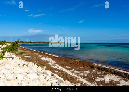 Belle plage de sable blanc et les eaux limpides de l'eau de mer turquoise et bleu ciel. Paysage panoramique de Bahia Honda State Park, Florida Keys, USA Banque D'Images