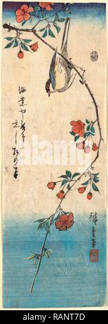 Kaido Ni Shokin, petit oiseau sur une branche de Kaidozakura. [Entre 1844 et 1848], 1 : Impression gravure sur bois, couleur, 33,5 X 11,2 repensé Banque D'Images
