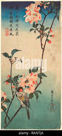 Kaido Ni Shokin, petit oiseau sur une branche de Kaidozakura. [Entre 1833 et 1838], 1 : Impression gravure sur bois, couleur, 36,9 X 17,2 repensé Banque D'Images