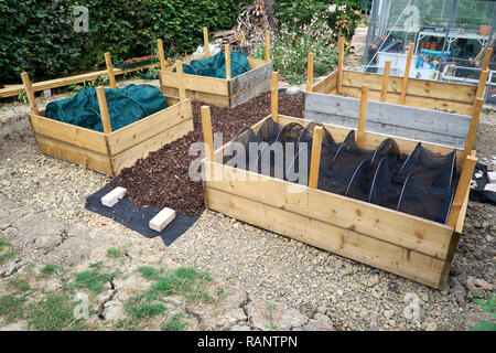 Construction Bois surélevée dans un potager, au Royaume-Uni. Banque D'Images