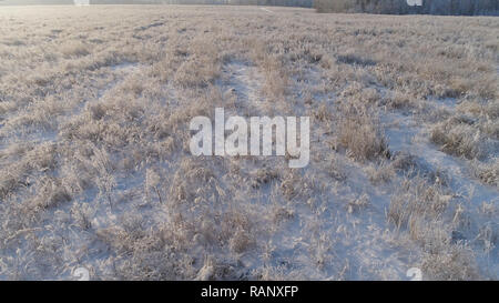 Vue aérienne paysage hiver neige vol au dessus de champs couvert en hiver. Des terres agricoles couvertes de neige en hiver Banque D'Images