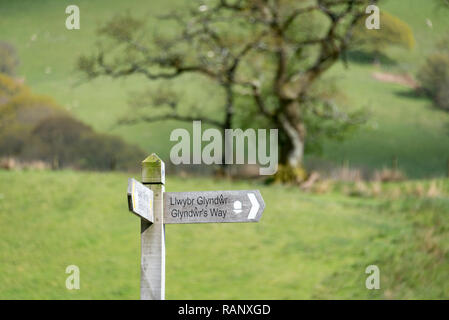 Les collines vallonnées de Powys près de Llanbrynmair sur le long sentier de randonnée Glyndwrs Way dans le centre du Pays de Galles Banque D'Images