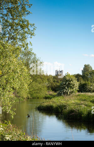 Cornmill Meadow dans l'abbaye de Waltham, partie du parc Lee Valley sur la frontière Essex/Hertfordshire dans le sud de l'Angleterre, au Royaume-Uni Banque D'Images