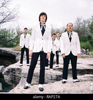 Les Ruches d'un groupe de rock suédois, photographié à McKinney Falls Austin, Texas, États-Unis d'Amérique. Banque D'Images