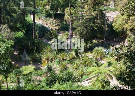 Le Jardin Mexicain, Palais de Monserrate, Sintra, Portugal Banque D'Images