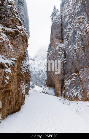 Paysage avec une route couverte de neige à travers un canyon Banque D'Images