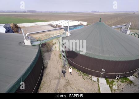 Gambarana (Pavie, Italie) l'usine de production d'électricité à partir de biomasse au "château" ferme. Banque D'Images