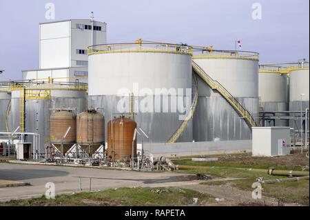 Oxem raffinerie à Mezzana Bigli (Pavie, Italie), la production de biodiesel, de carburant diesel écologique végétale huile découlant principalement de l'huile de colza et de soja transformation Banque D'Images