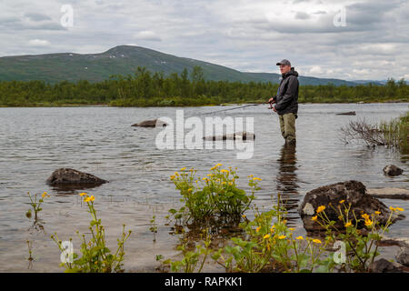 La pêche de l'homme blanc, debout dans l'eau, à la recherche heureux et souriant, montagne en arrière-plan et coupe du roi de fleurs en premier plan, rivière, Kiruna c Rautas Banque D'Images