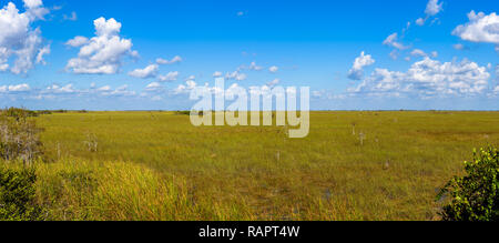 Vue panoramique sur le paysage de prairie Pa-Hay-Okee Lookout Tower, le Parc National des Everglades, en Floride. Banque D'Images