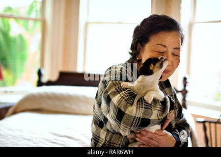 Chiot lèche le nez d'un senior femme qui est tient le chiot tout en étant assis sur un lit. Banque D'Images