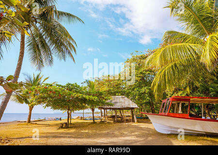 Sur la plage de Playa Herradura Costa Rica Banque D'Images