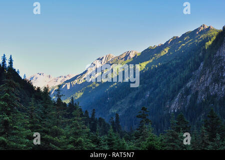 Montagne couverte d'arbres dans le parc national de Jiuzhaigou, Sichuan, Chine Banque D'Images