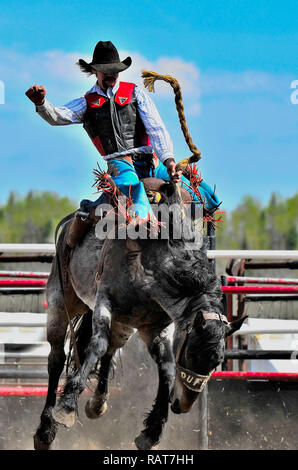 Une verticale de l'image d'un cow-boy à cheval une selle sauvage à la monte d'une arène de rodéo en Alberta Canada Banque D'Images