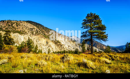 Couleurs d'automne et les roches colorées le long de la rivière Thompson à White Canyon près de Skihist Provincial Park le long de la route du Canyon du Fraser en Colombie-Britannique, Canada Banque D'Images