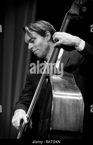 Morton Ankarfeldt sur solo contrebasse avec Mads Mathias Quartet Jazz Festival 2017, Scarborough Banque D'Images