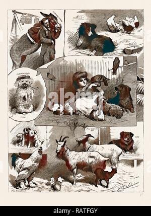 La "bande de gentillesse !''ÂNE ET PET SHOW À Manchester, Royaume-Uni, 1886. Repensé par Gibon. L'art classique avec un style moderne repensé Banque D'Images