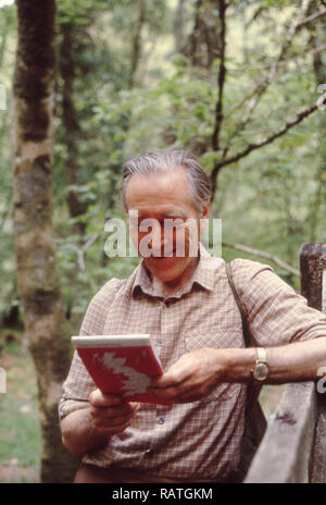 Années 1970, mâle adulte, randonneur ou walker dans un bois ou une forêt en regardant une carte, England, UK. Banque D'Images