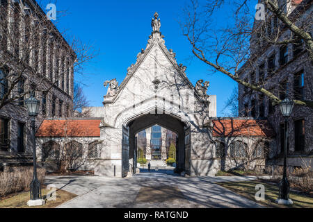 Les bâtiments du campus de l'Université de Chicago Banque D'Images