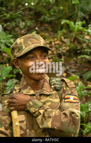 Ranger du parc, forêt impénétrable de Bwindi, en Ouganda, l'Afrique, Bwindi Banque D'Images