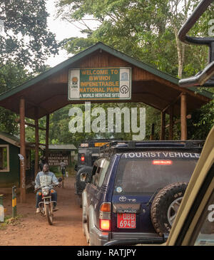 Les touristes en safari véhicules pénétrant dans la forêt impénétrable de Bwindi (BINP) dans le sud-ouest de l'Ouganda, l'Afrique Banque D'Images