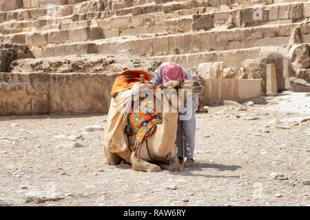 Pour les touristes de chameau bédouin près de pyramides de Gizeh désert, Egypte Banque D'Images