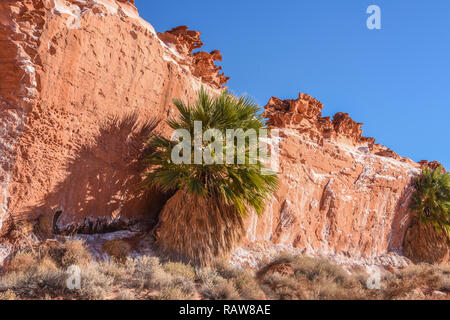 Gold Butte National Monument, peu de Finlande Banque D'Images