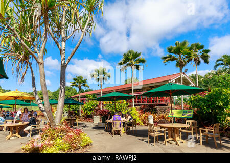 Wahiawa, Hawaii - Dec 25, 2018 : Avis de la Dole Plantation d'Ananas à Wahiawa, destination Tour Banque D'Images