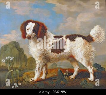 Brown et Blanc Norfolk ou Water Spaniel signée et datée, en bas à droite : 'Geo : Stubbs p | 1778', George Stubbs, 1724- repensé Banque D'Images