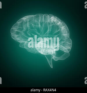 Image composite de 3d illustration de cerveau humain Banque D'Images