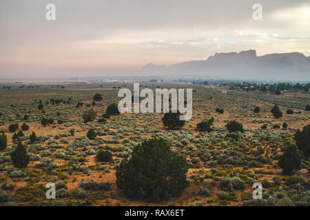 Des arbres de Juniper et des falaises rouges dans un paysage désertique Banque D'Images