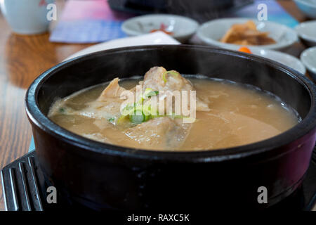 Ginseng Samgyetang Chicken Soup .la nourriture coréenne Banque D'Images