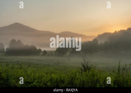 Matin le brouillard plane sur la Cades Cove dans les Smoky Mountains Banque D'Images