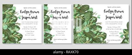 Un ensemble de vecteur mariages invitations, cartes de vœux, lettres, des bannières, des certificats. Été vert des feuilles et des brindilles d'eucalyptus, roses, et la cire sont Illustration de Vecteur