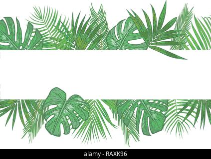 Tropical vecteur bannière, cadre, invitation de mariage, étiquette, carte postale. Feuilles de palmier vert areca, sagou, monstera, kentia (howea) isolated on white backgrou Illustration de Vecteur