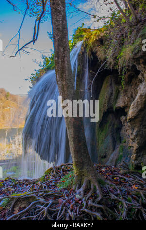 Derrière la cascade impressionnante racines majestueux. Plitvice, Croatie Banque D'Images