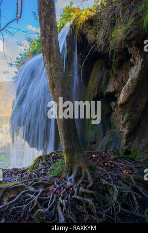 Derrière la cascade impressionnante racines majestueux. Plitvice, Croatie Banque D'Images