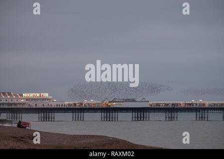 Murmuration d'étourneaux sur Palace Pier, Brighton, Sussex, UK. Photographié sur une soirée froide en hiver, les oiseaux se rassemblent à la tombée de la nuit avant l'imbrication Banque D'Images