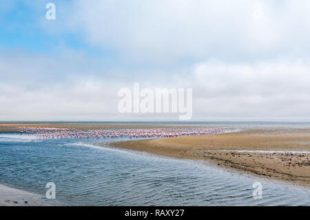 Walvis Bay front de mer avec des flamants roses, la Namibie Banque D'Images