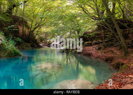 Source d'Urederra rivière de Baquedano, Navarre, Espagne Banque D'Images