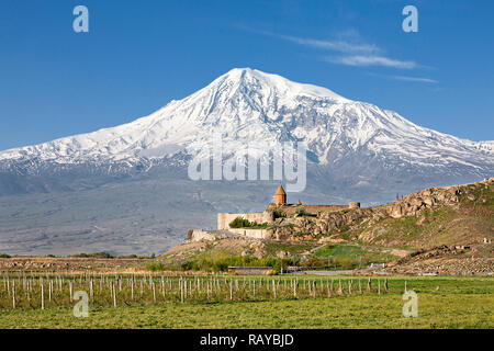 Khor Virap, complexe religieux orthodoxe arménienne avec le Mont Ararat dans l'arrière-plan, à Artashat, Arménie. Banque D'Images