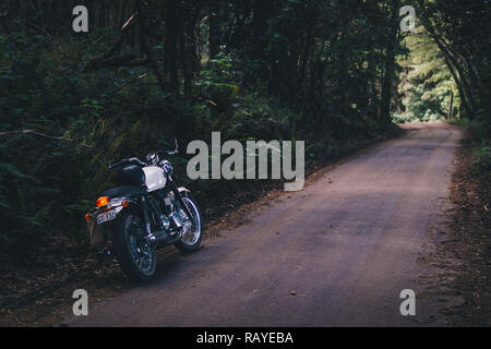 Moto Triumph BONNEVILLE garé sur une jolie route de campagne dans la forêt Mont Macédoine. Banque D'Images