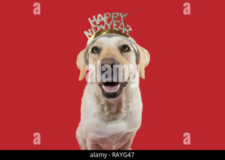 Chien NOUVELLE ANNÉE. Heureux, CHIOT LABRADOR PORTANT UN BANDEAU OU TIARA SIGNE AVEC TEXTE. Tendance corail isolé contre l'arrière-plan. Banque D'Images