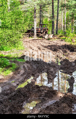 Débardeur vieux à la forêt en été. Le dérapage de la machine pour l'industrie du bois Banque D'Images