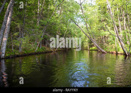 Canal du lac-canal du système sur l'Île Solovetsky Big Island Solovki. Archipel Solovetsky, Moscow, Russie Banque D'Images