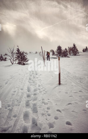 Paysages de montagne d'hiver pendant un blizzard, harmonisation des couleurs appliquées, montagnes de Karkonosze, Pologne. Banque D'Images